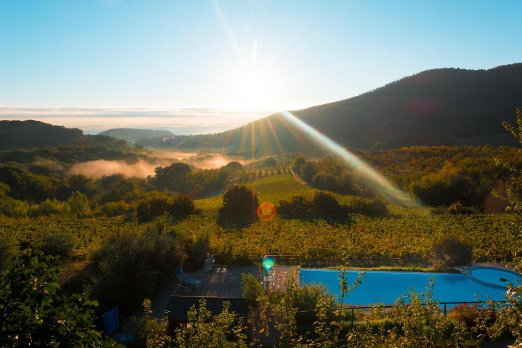 Agriturismo Il Serraglio Montepulciano Stazione Buitenkant foto